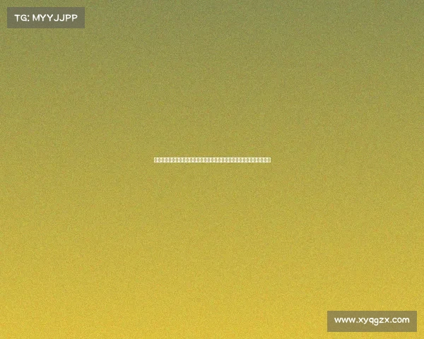 搏击赛事的流程与规划—搏击赛场风云录：从选手登场到终极对决全程解析